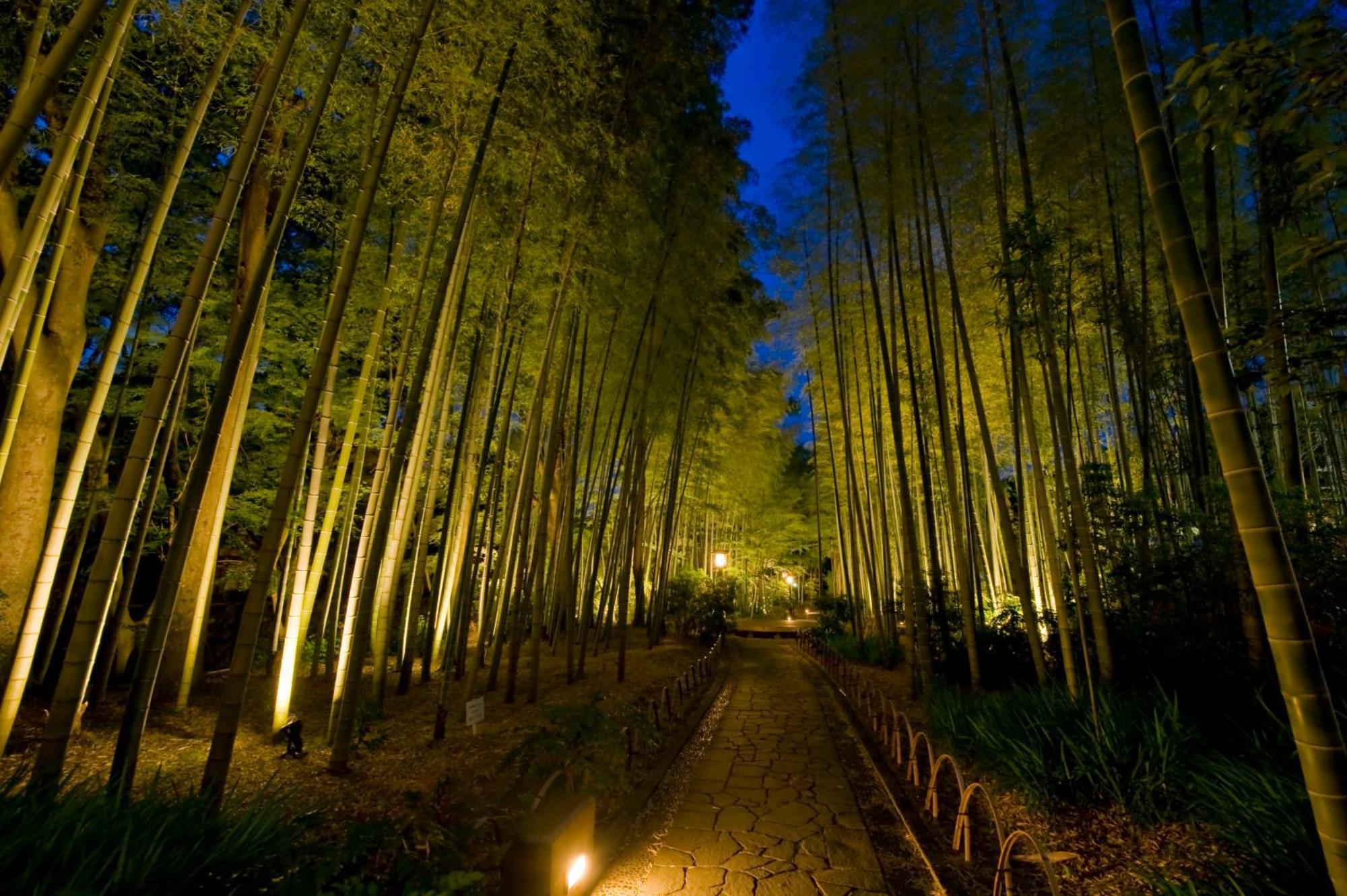 Marukyu Ryokan Izu  Exteriér fotografie